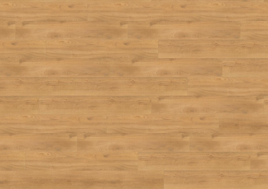 Wineo 1200 wood XL - Let's go Max PL270R - main (1)