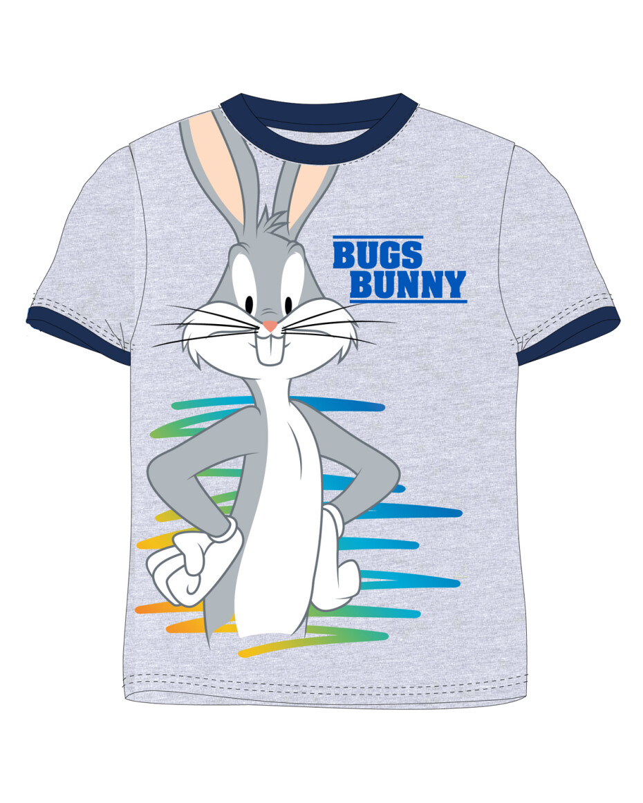 Looney Tunes - licence Chlapecké tričko - Looney Tunes 5202789, šedý melír Barva: Šedá, Velikost: 104 - main (0)