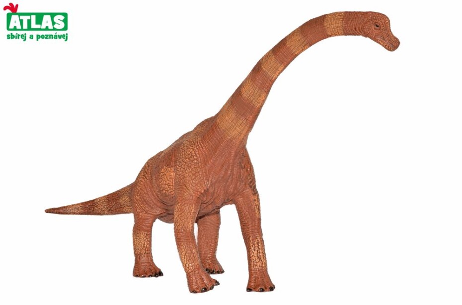 G - Figurka Dino Brachiosaurus 30cm, Atlas, W101830 - main (0)