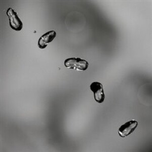 Product detail of Up - Peter Gabriel