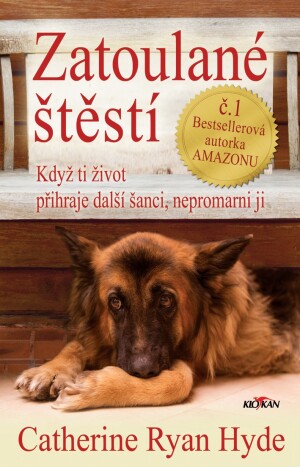 Product detail of Zatoulané štěstí - Když ti život přihraje další šanci, nepromarni ji - Catherine Ryan Hyde