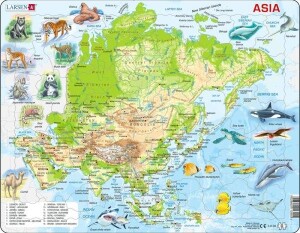 Product detail of Puzzle Australia Topographic Map
