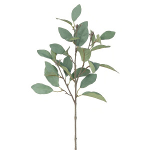 Product detail of Umělá větev Magnolie zeleno-šedá, 62 cm
