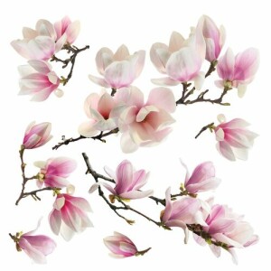 Product detail of Samolepicí dekorace Magnolia blossom, 30 x 30 cm