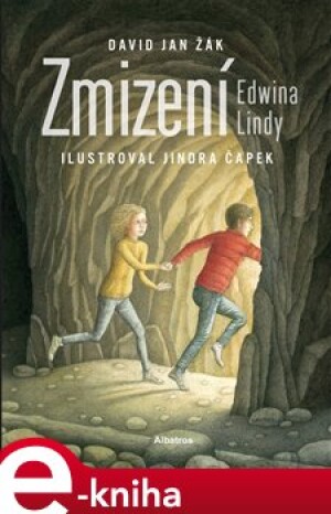 Product detail of Zmizení Edwina Lindy - David Jan Žák