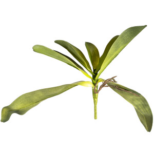 Product detail of Umělý List orchideje s kořínky, 30 cm 