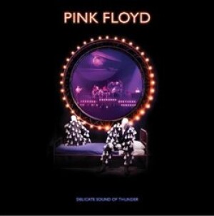 Product detail of Delicate Sound of Thunder - Pink Floyd