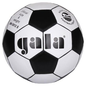 Product detail of Gala BN 5012S míč na nohejbal