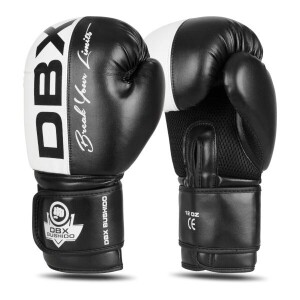 Product detail of BUSHIDO Boxerské rukavice DBX B-2v20