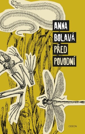 Product detail of Před povodní - Anna Bolavá