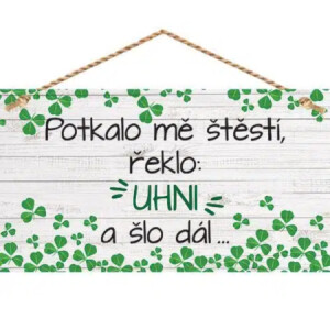Product detail of Bohemia Gifts Dekorační obrázek na zavěšení - Štěstí