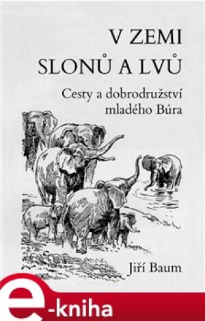 Product detail of V zemi slonů a lvů - Jiří Baum