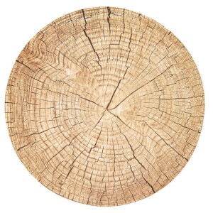 Product detail of Orion Korkové prostírání Wooden, 38 cm