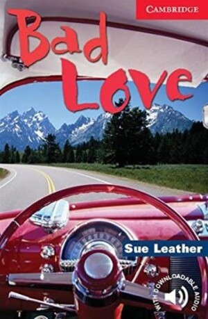 Product detail of Bad Love - Sue Leather