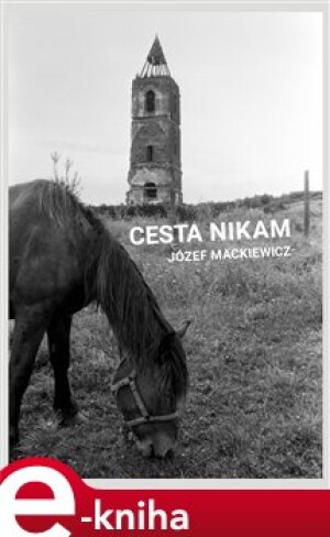 Product detail of Cesta nikam - Józef Mackiewicz