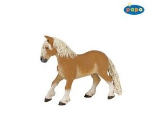 Product detail of Poník Haflinger