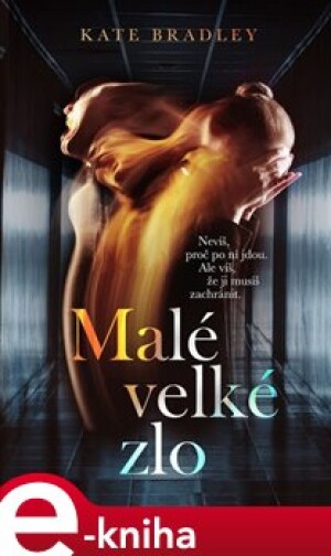 Product detail of Malé velké zlo - Kate Bradley