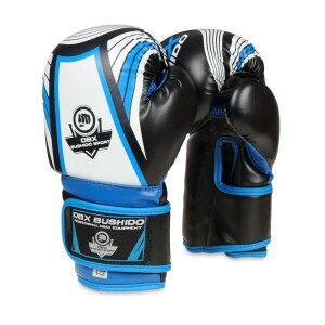 Product detail of BUSHIDO Boxerské rukavice DBX ARB407v1 6 oz.