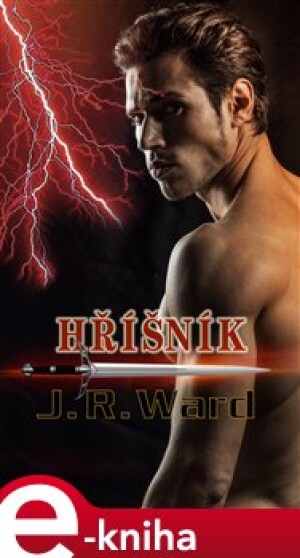 Product detail of Hříšník - J. R. Ward
