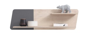 Product detail of Meblar Police DELTA DL13