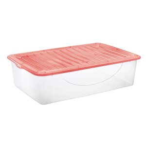 Product detail of Tontarelli DODO STOCK-BOX s víkem 27L transparent/červená 
