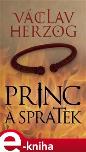 Product detail of Princ a spratek - Václav Herzog
