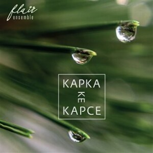 Product detail of Kapka ke kapce - CD - Jan Rokyta