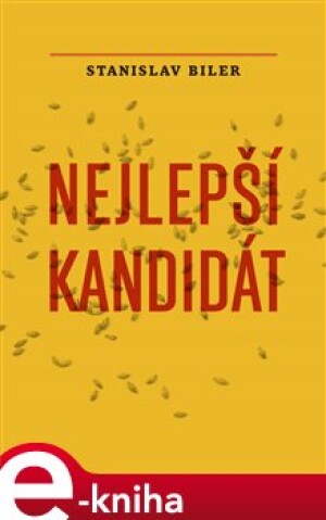 Product detail of Nejlepší kandidát - Stanislav Biler