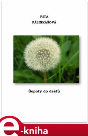 Product detail of Šepoty do dešťů - Rita Pálinkášová