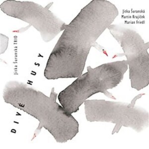 Product detail of Divé husy - CD - Jitka Šuranská