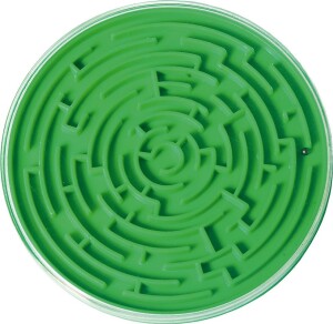 Product detail of Bludiště do kapsy - Smoby