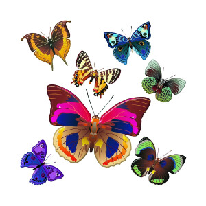 Product detail of Samolepicí dekorace Butterflies, 30 x 30 cm