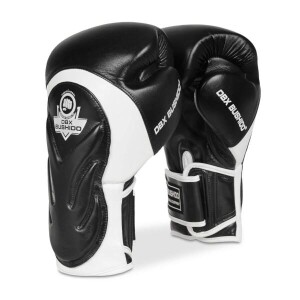Product detail of BUSHIDO Boxerské rukavice DBX BB5