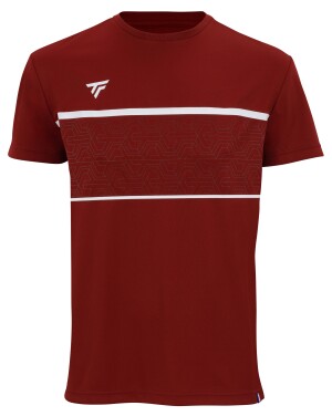 Product detail of Pánské tričko Tecnifibre  Club Tech Tee Cardinal M