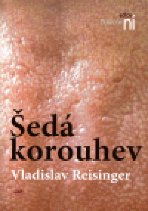 Product detail of Šedá korouhev - Vladislav Reisinger