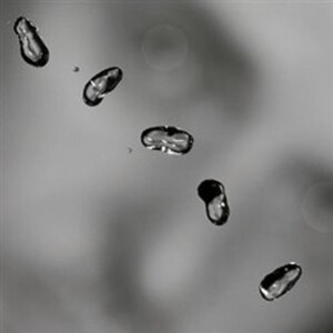 Product detail of Peter Gabriel: Up - 2 LP - Peter Gabriel