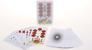 Product detail of Jednohlavý mariáš - plastová krabička - Spin Master