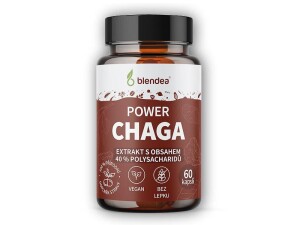 Product detail of Blendea Chaga extrakt 60 kapslí