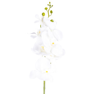 Product detail of Umělá Orchidej čistě bílá, 86 cm