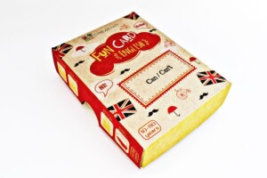 Product detail of Fun Card English: Can/Can´t