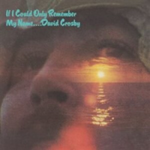 Product detail of If I Could Only Remember My Name - David Crosby