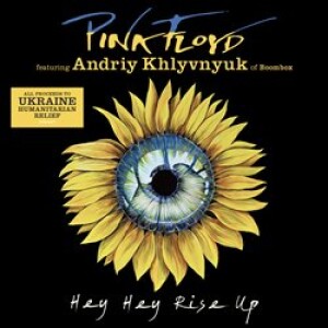 Product detail of Hey Hey Rise Up (Feat. Andriy Khlyvnyuk Of Boombox) - Pink Floyd