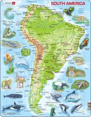 Product detail of Puzzle South America Topographic Map
