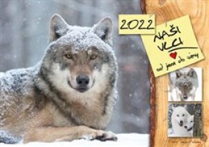 Product detail of Kalendář 2022 - Naši vlci od jara do zimy