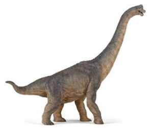 Product detail of Brachiosaurus