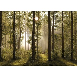 Product detail of Fototapeta XXL Forest 360 x 254 cm, 4 díly