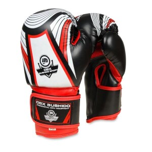 Product detail of BUSHIDO Boxerské rukavice DBX ARB407v2 6 oz.