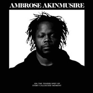 Product detail of On The Tender Spot Of Every Calloused Moment - Ambrose Akinmusire
