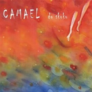 Product detail of Do skoku - CD - Camael