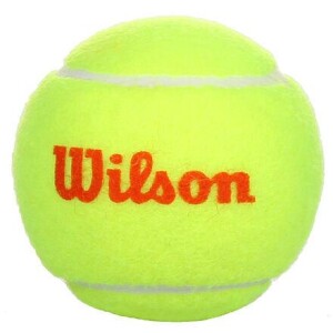 Product detail of Wilson Starter Orange tenisové míče